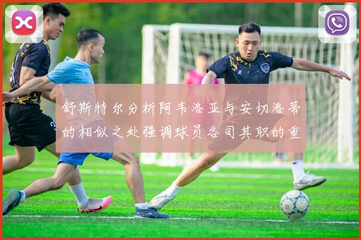 舒斯特尔分析阿韦洛亚与安切洛蒂的相似之处强调球员各司其职的重要性