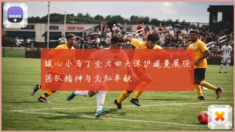 暖心小马丁全力回头保护道曼展现团队精神与无私奉献